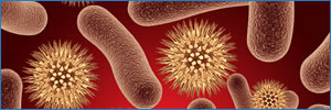 Bacteriología